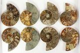 Lot: / - Cut Ammonite Pairs (Grade B) - Pairs #77336-2